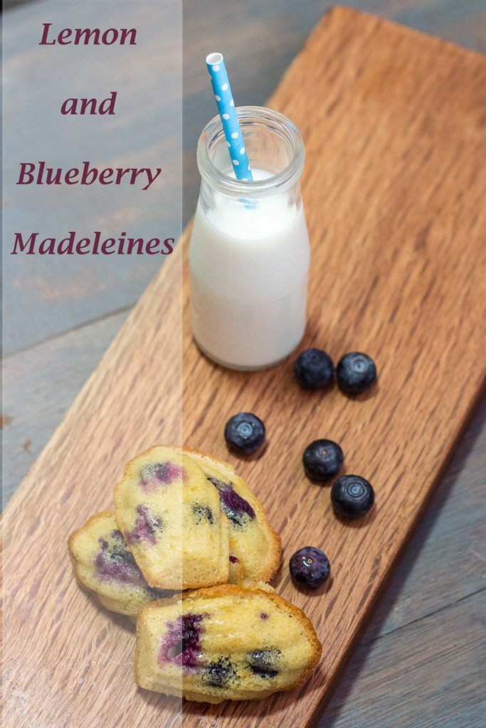 Lemon and Blueberry Madeleines