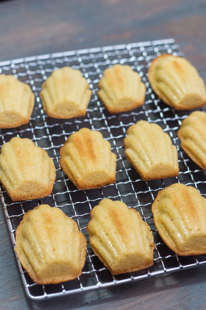 Classic Madeleine Recipe