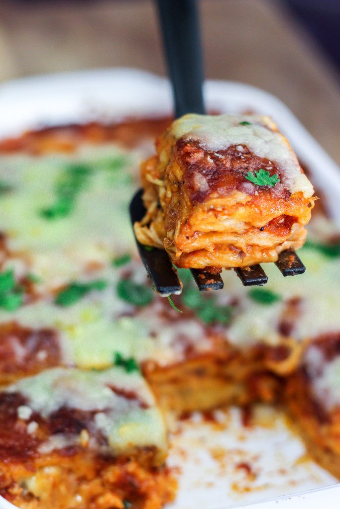 Easy Chicken Enchilada Lasagna - Maya Kitchenette